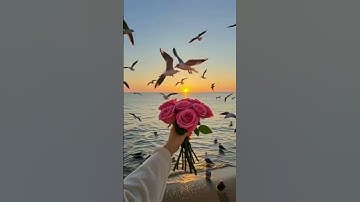 سورة طه قران كريم راحة نفسية #اكسبلور