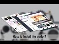 How to install the script?