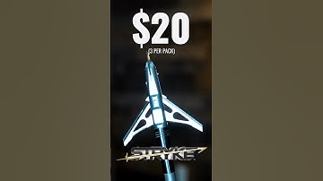 Mechanical Broadheads VS Mule Deer Shoulder Through Ballistic Gel!