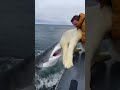 He Jumped In Without Thinking… To Save a Bear 🐻💔#shorts