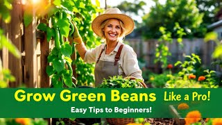 Grow Green Beans Like a Pro: Bountiful Harvests!
