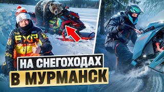 На снегоходах в Мурманск: Встретим ли медведя? Выживаем в лесу