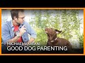 Michael Vartan Good Dog Parenting Interview