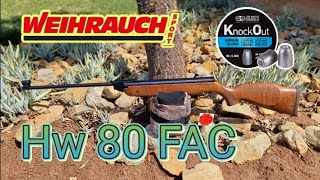 Weihrauch HW80 FAC, 4.5mm accuracy test with JSB knockout 10.03gr slugs