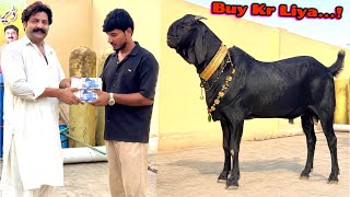 Bought the 2 Lakh Black Goat from Pathan🥳 Surprise screenshot 5