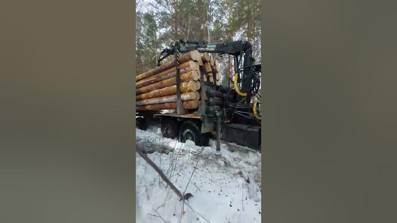 Лесовозы по бездорожью