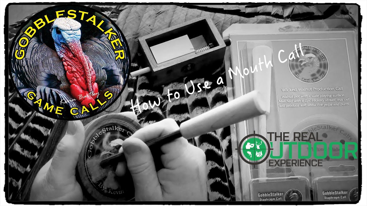 How To Use a Turkey Mouth Call YouTube