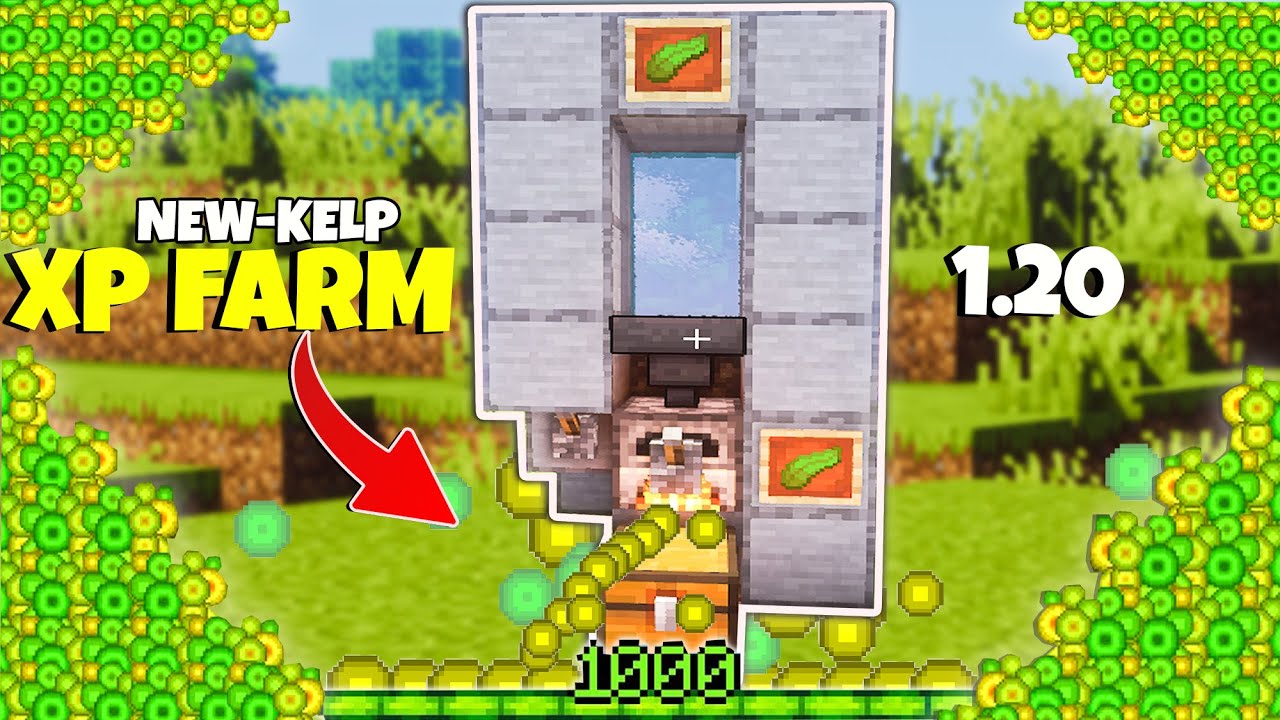 1 20 unlimited kelp xp farm xp glitch minecraft bedrock 1 20