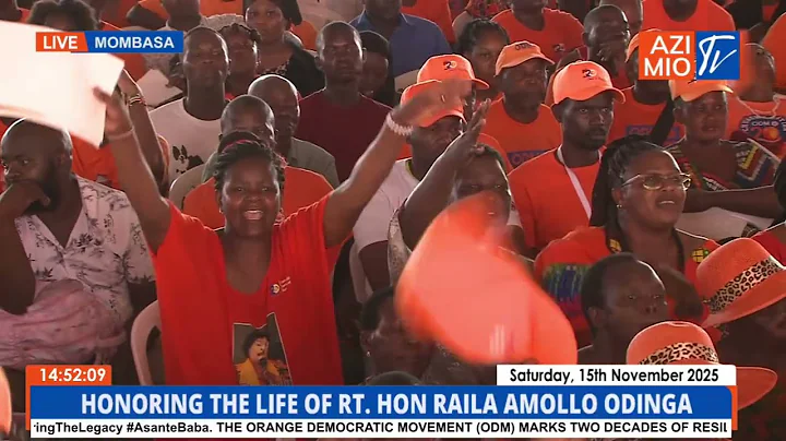 WATCH: MP Milly Odhiambo RUTHLESSLY DESTROYS Alai over out -of- line remarks on Winnie Odinga