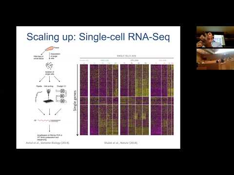 Video: Precisione, Robustezza E Scalabilità Dei Metodi Di Riduzione Della Dimensionalità Per L'analisi Dell'RNA-seq A Cellula Singola