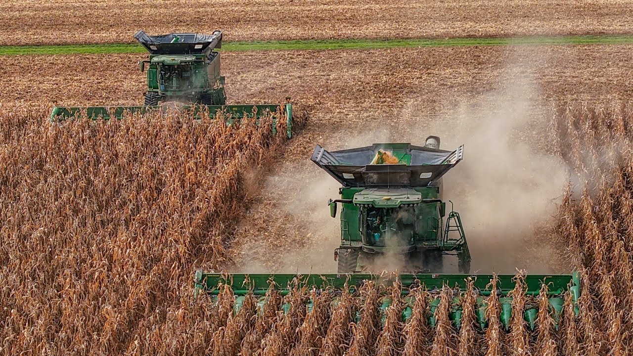 🇨🇿Kukurica 2025 - JOHN DEERE X9 1100 + JOHN DEERE S7 900 🌽🟢