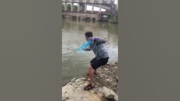 Câu cá tuyệt vời bằng lưới đúc 🐟 Video câu cá hay nhất 🐟 #shorts