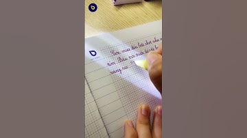 Bút mực S208 ngòi bi chuyên viết bài cho các bạn học sinh, nét mực tím Sao Thiên