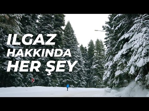 Ilgaz Dağı Hakkında Her Şey | Ilgaz Dağı Kayak Merkezleri | Vlog