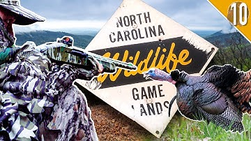 TURKEY HUNTING in the MOUNTAINS! - North Carolina Public Land