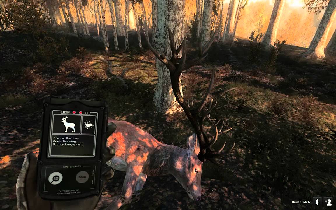 theHunter Game Red Deer 270.498 Point YouTube