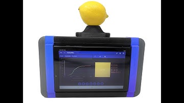 ColorWiz Handheld Colorimeter Measuring Fruits