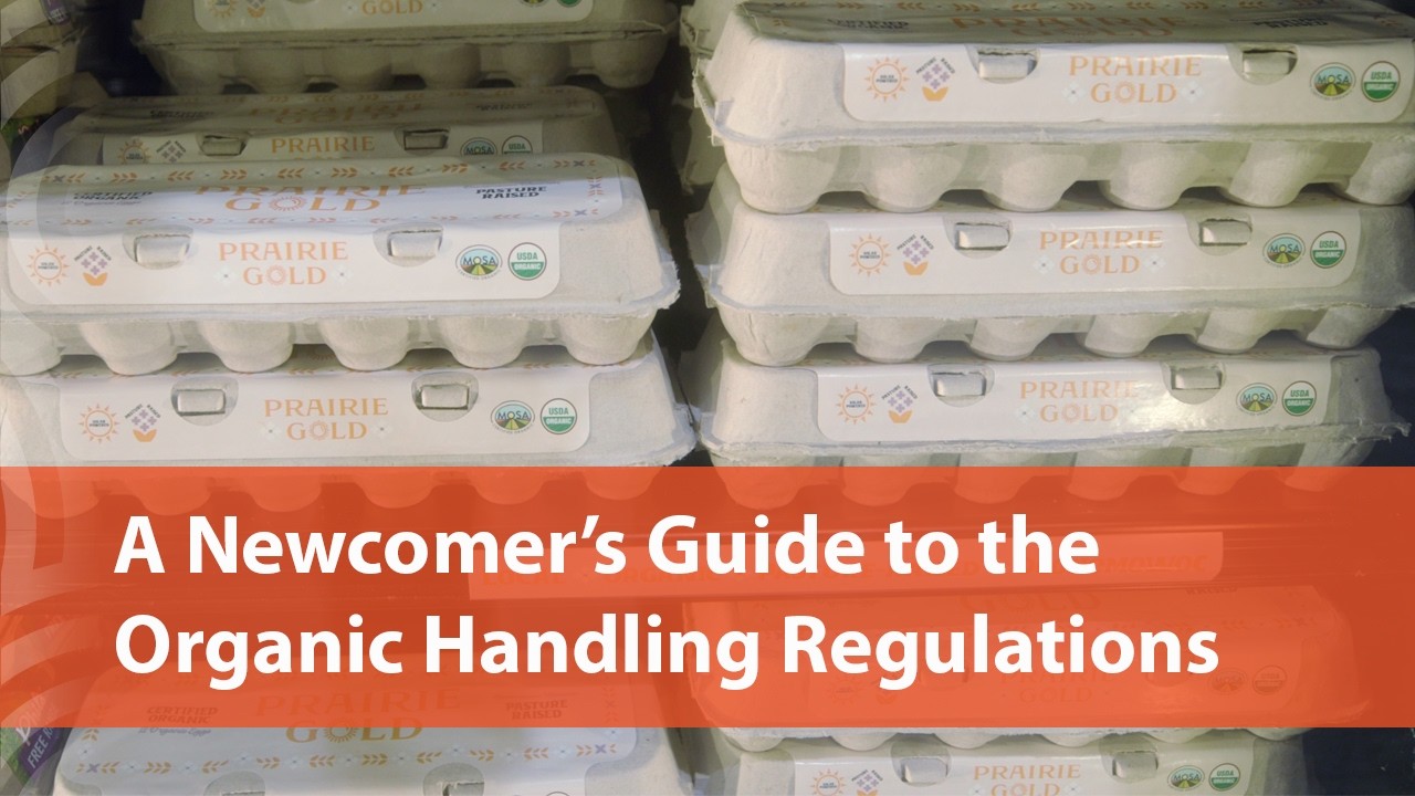 A Newcomer’s Guide to Organic Handling Video