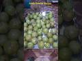 Full Vedio Step by Step How to Make Amla Powder at Home by Easy Method #shorts #shortvideo #amla