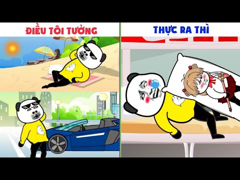 Video GẤU HÀI HƯỚC: Điều Tôi Nghĩ Khi Đi Học Và Thực Tế Xảy... - YouTube
