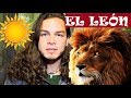 León animal de poder