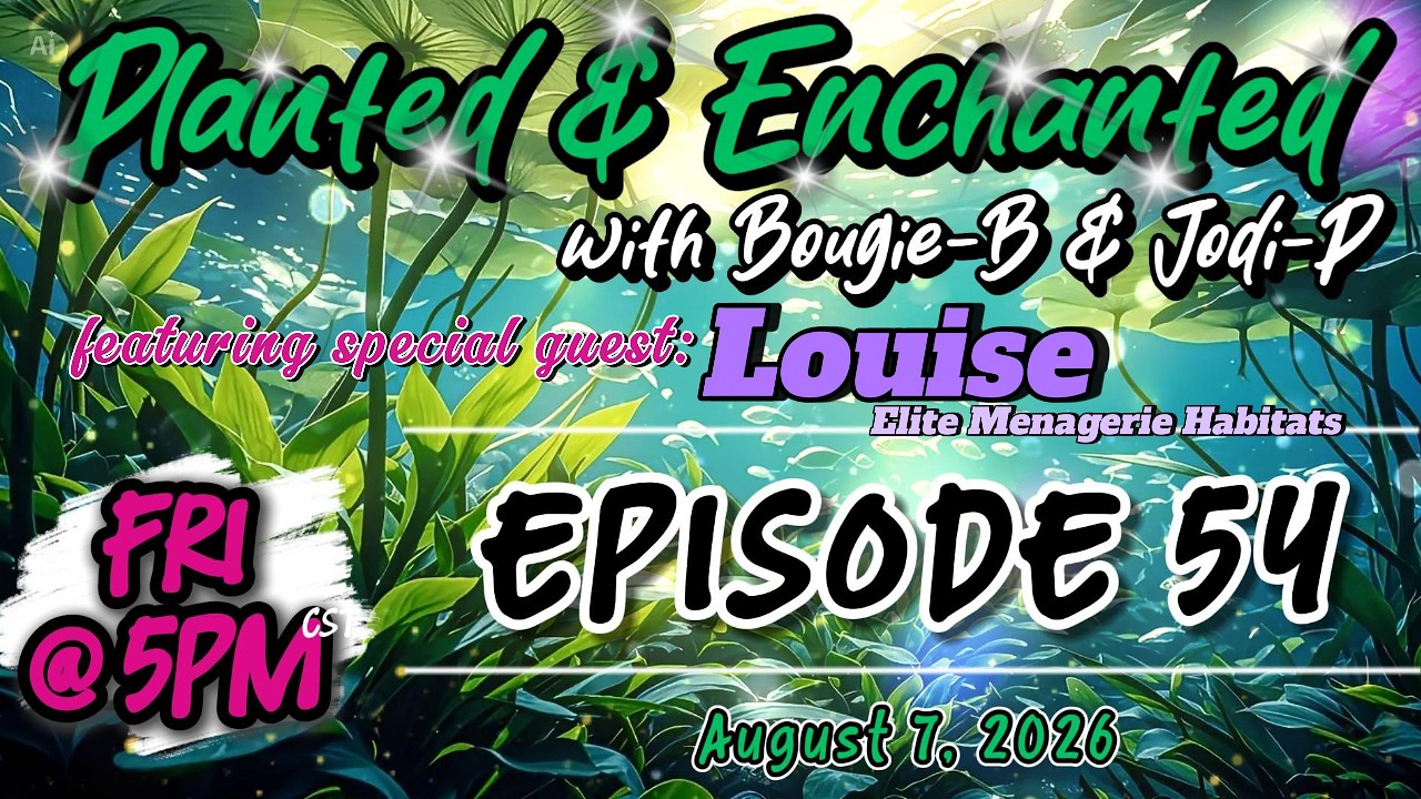 Planted & Enchanted with Bougie-B & Jodi-P feat. Louise of Elite Menagerie Habitats- Episode 54