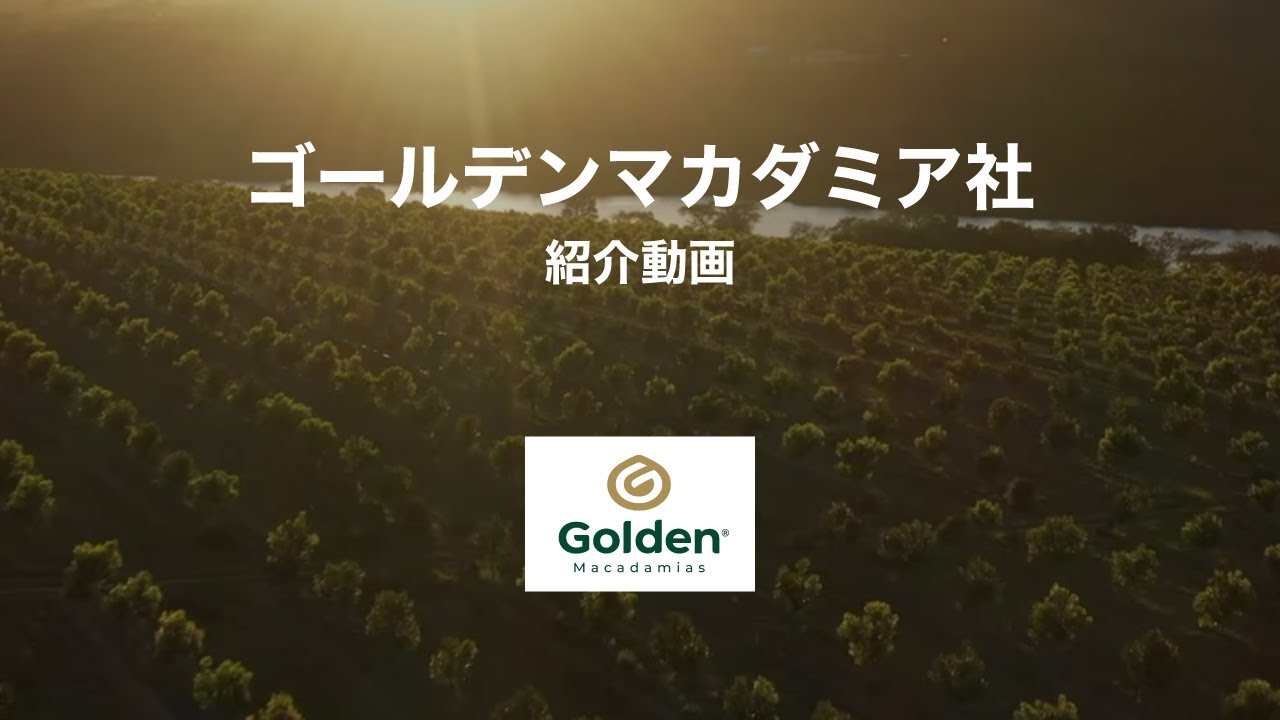 マカダミア専用　依頼制作 業務向け原材料 マカダミアナッツ｜安心安全のナッツ・ドライフルーツ