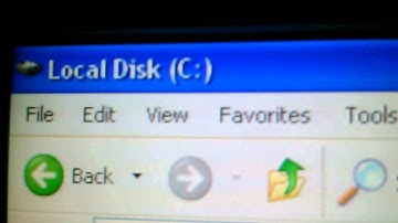 Crazy bug inside my LCD Monitor!!