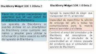 blackberry developer.flv