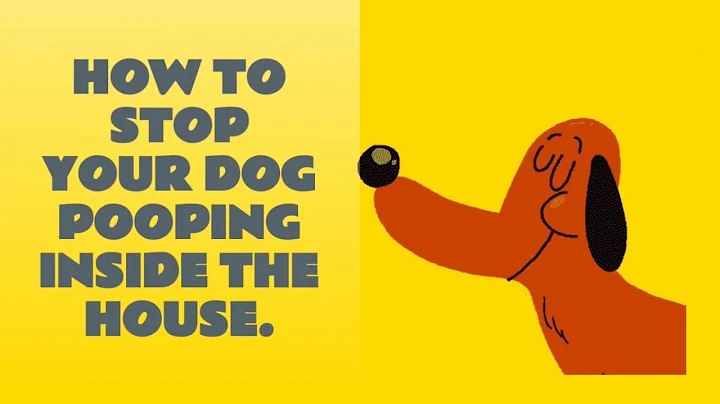 How to STOP your Dog POOPING 💩💩 inside the House.🐶 |  Dog potty training videos. - DayDayNews