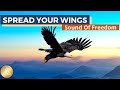 Freedom frequencies of eagle  639 hz  1111 hz  feel the air under your wings  pan flute music