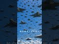 【ガダルカナル島の戦い】なぜ日本軍は敗れたのか|餓島と呼ばれた南太平洋の激戦地