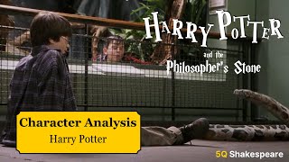 Harry Potter and his Ego