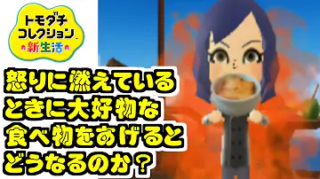 こうせいとようこの喧嘩 トモダチコレクション新生活
