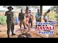 Caçada de Javali - Parte II