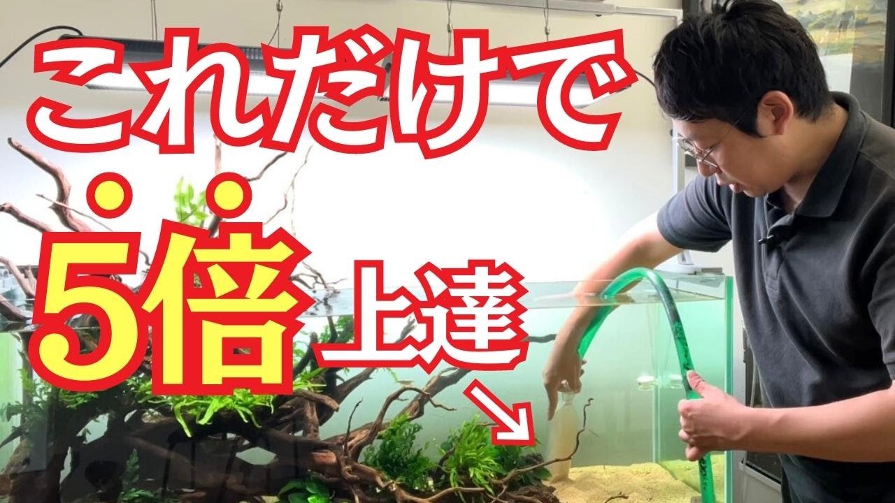 水槽がすぐに汚れるのはこれができてないからです