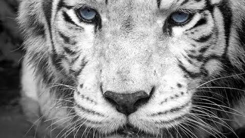 How to fix your mw 2019 digitally