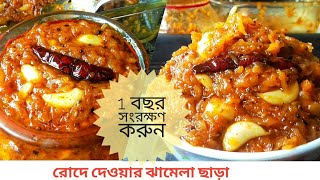 কাঁচা আমের টক ঝাল মিষ্টি ঝুরি আচার | Mango Pickle | Amer Jhuri Achar | Amer Achar Bangla Recipe