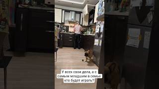 Кто будет играть с малышом? #французскийбульдог #соьакиприколы #бульдоги #собаки #игрыссобакой