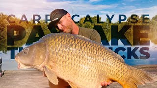 DAS PAYLAKE ABC: Tipps & Tricks für Karpfenangler