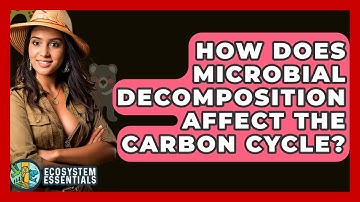 How Does Microbial Decomposition Affect The Carbon Cycle? - Ecosystem Essentials