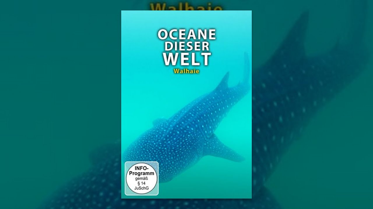 Ozeane dieser Welt - Walhaie