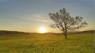 Canon 5D Mk Iii In Camera Hdr Time-Lapse Test