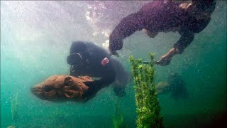 日軍想炸掉大壩,卻不料游擊隊在此伏擊,赤手空拳殲滅整隊日本海軍!