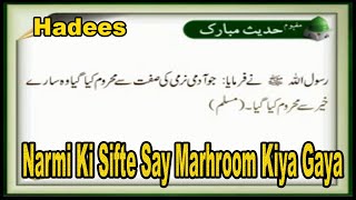 Narmi Ki Sifte Say Marhroom Kiya A Sunnat-E-Nabvi Hadees Hd Video