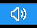 SFX - Awkward Silence Crickets Coughing Sound Effect