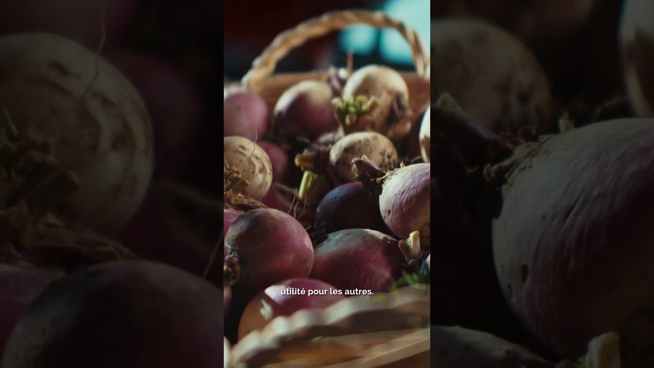 Écoles de Production : Formation Primeur (Part. 1)