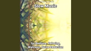Slow  For Bedtime And Relaxing Pt 84