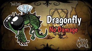Don't Starve ROG Pocket Edition | Dragonfly [ No Damage ] screenshot 5