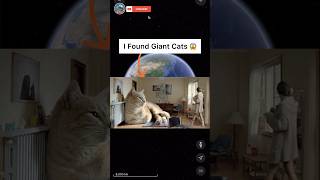 I Found Giant Cats On Google Earth 😱 #shorts #googleearth